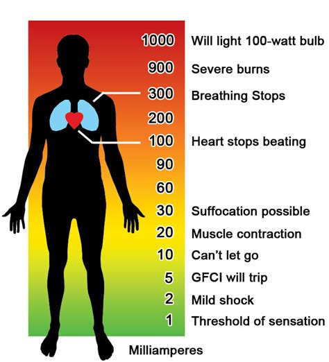 Increased heartbeat. . Symptoms of too much electricity in the body